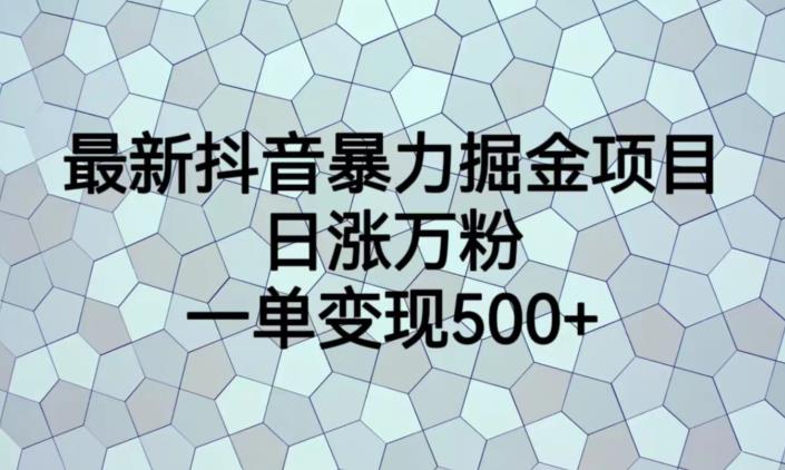 最新抖音暴力掘金项目，日涨万粉，一单变现500+【揭秘】-创客云联盟