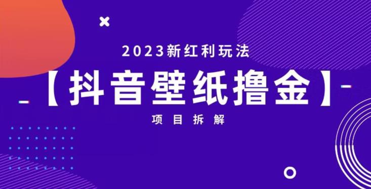 抖音壁纸小程序创作者撸金项目，2023新红利玩法【项目拆解】-创客云联盟