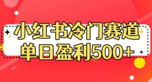 小红书冷门赛道，单日盈利500+【揭秘】-创客云联盟