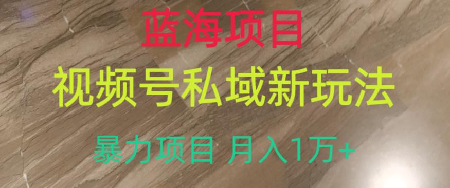 蓝海项目，视频号私域新玩法，暴力项目月入1万+【揭秘】-创客云联盟