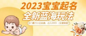 2023宝宝起名全新蓝海玩法，冷门暴力小白实操，日入1000+（全套教程）【揭秘】-创客云联盟