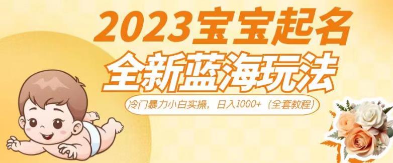 2023宝宝起名全新蓝海玩法，冷门暴力小白实操，日入1000+（全套教程）【揭秘】-创客云联盟