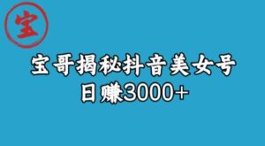 宝哥揭秘抖音美女号玩法,日赚3000+【揭秘】-创客云联盟