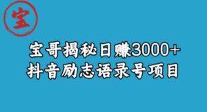 宝哥揭秘日赚3000+抖音励志语录号短视频变现项目-创客云联盟