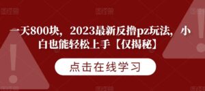 一天800块,2023最新反撸pz玩法,小白也能轻松上手【仅揭秘】-创客云联盟