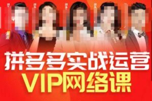 推易拼多多VIP全套直播课程,拼多多店铺实操玩法+实战玩法选款内功+直通车高阶等-创客云联盟