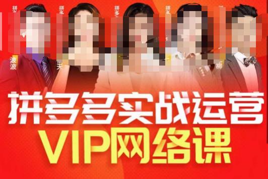 推易拼多多VIP全套直播课程，拼多多店铺实操玩法+实战玩法选款内功+直通车高阶等-创客云联盟