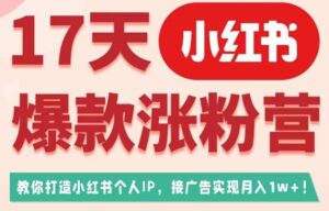 17天小红书爆款涨粉营（广告变现方向），教你打造小红书博主IP、接广告变现的-创客云联盟