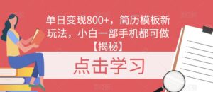 单日变现800+,简历模板新玩法,小白一部手机都可做【揭秘】-创客云联盟