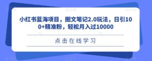 小红书蓝海项目，图文笔记2.0玩法，日引100+精准粉，轻松月入过10000【揭秘】-创客云联盟