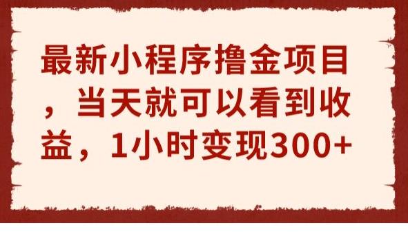 最新小程序撸金项目，当天就可以看到收益，1小时变现300+【揭秘】-创客云联盟