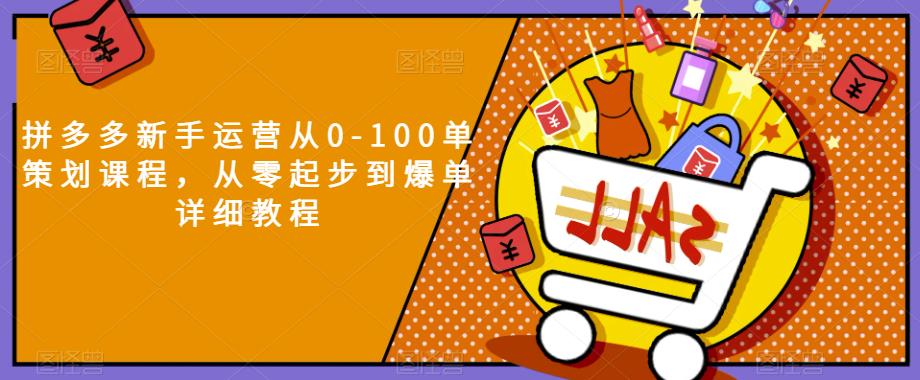 拼多多新手运营从0-100单策划课程，从零起步到爆单详细教程-创客云联盟