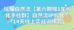 瑶瑶自然流【第六期赠1年孵化手社群】自然流IP孵化手「14天线上实战训练营」-创客云联盟