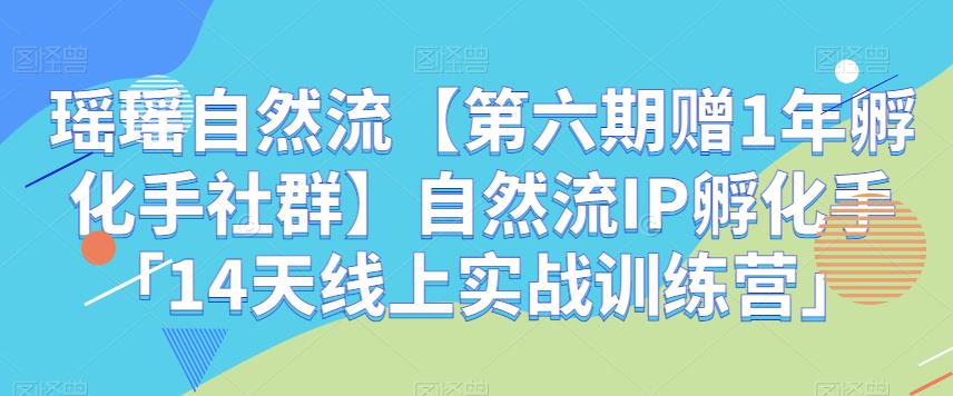 瑶瑶自然流【第六期赠1年孵化手社群】自然流IP孵化手「14天线上实战训练营」-创客云联盟