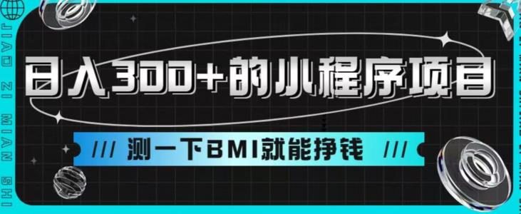 日入300+的小程序项目，测一下BMI就能挣钱【揭秘】-创客云联盟
