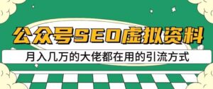 公众号SEO虚拟资料，操作简单，日入500+，可批量操作【揭秘】-创客云联盟