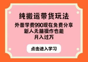 纯搬运带货玩法,外面学费990现在免费分享,新人无脑操作也能月入过万【揭秘】-创客云联盟