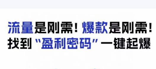 电商盈利精品课：6大盈利密码让产品更好卖，流量是刚需！爆款是刚需！找到”盈利密码”一键起爆-创客云联盟