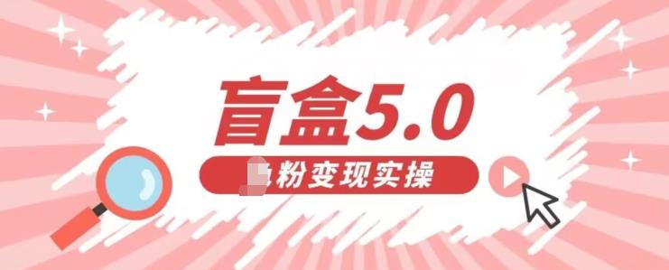 盲盒交友5.0，男粉变现实操项目，亲测变现效果极好【揭秘】-创客云联盟