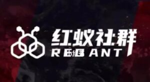 社群运营:红蚁社群【48节落地系统课程+2000人高端社群】-创客云联盟