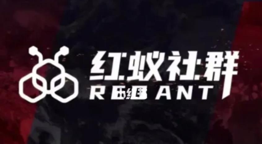 社群运营：红蚁社群【48节落地系统课程+2000人高端社群】-创客云联盟