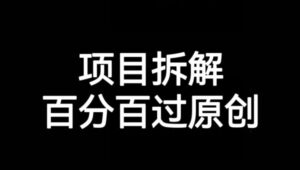 项目拆解赛道百分百过原创【揭秘】-创客云联盟