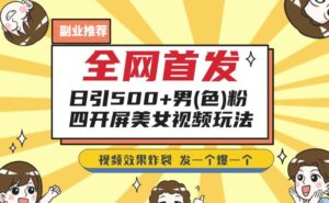 全网首发，日引500+男粉美女视频四开屏玩法，发一个爆一个【揭秘】-创客云联盟
