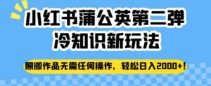 小红书蒲公英第二弹冷知识新玩法，照搬作品无需任何操作，轻松日入2000+【揭秘】-创客云联盟