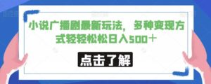 小说广播剧最新玩法，多种变现方式轻轻松松日入500＋【揭秘】-创客云联盟