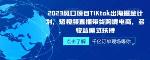 2023风口项目TikTok出海掘金计划，短视频直播带货跨境电商，多收益模式扶持-创客云联盟