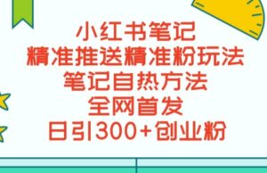 最新小红书笔记精准推送2000+精准粉，单日导流私欲最少300【脚本+教程】-创客云联盟