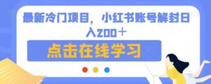 最新冷门项目，小红书账号解封日入200＋【揭秘】-创客云联盟