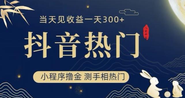 抖音最新小程序撸金，测手相上热门，当天见收益一小时变现300+【揭秘】-创客云联盟