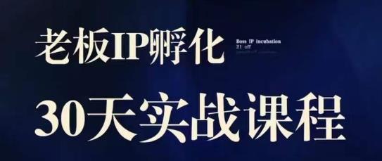 诸葛·2023老板IP实战课，实体同城引流获客，IP孵化必听-创客云联盟