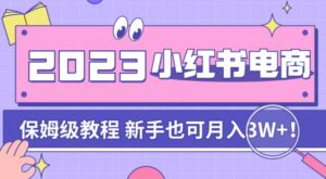 阿本小红书电商陪跑营4.0，带大家从0到1把小红书做起来-创客云联盟