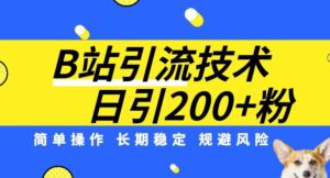 B站引流技术:每天引流200精准粉,简单操作,长期稳定,规避风险-创客云联盟