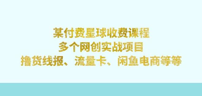 某付费星球课程：多个网创实战项目，撸货线报、流量卡、闲鱼电商等（文档非视频）-创客云联盟