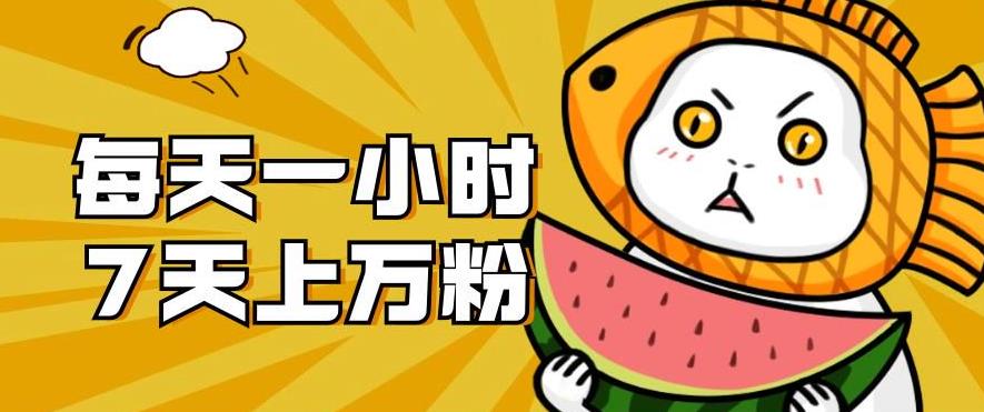 暴力涨粉项目：每天一小时，七天上万粉【揭秘】-创客云联盟