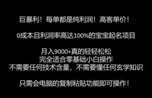 巨暴利，月入9000+的宝宝起名项目，每单都是纯利润，零基础都能躺赚【附软件+视频教程】-创客云联盟