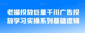 老猫投放巨量千川广告投放学习实操系列基础逻辑-创客云联盟