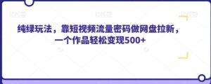 纯绿玩法，靠短视频流量密码做网盘拉新，一个作品轻松变现500+【揭秘】-创客云联盟
