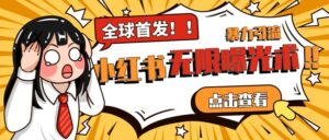 全网首发-小红书无限曝光术pro版全领域粉丝精准拿下-创客云联盟
