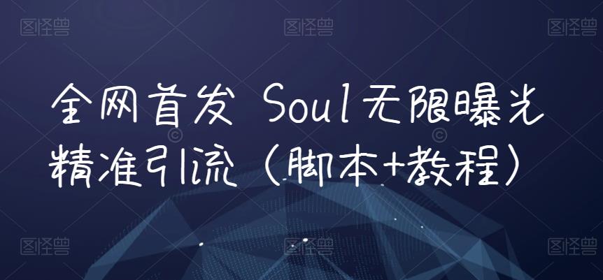 全网首发 Soul无限曝光精准引流（脚本+教程）-创客云联盟