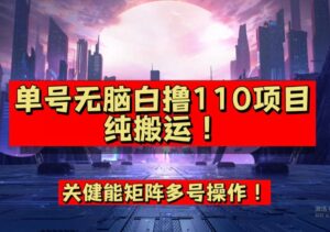9月全网首发，单号直接白撸110！可多号操作，无脑搬运复制粘贴【揭秘】-创客云联盟