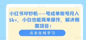 小红书印钞机——号成单账号月入5k+，小白也能简单操作，解决刚需项目【揭秘】-创客云联盟