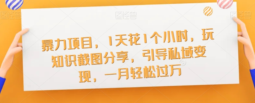 暴力项目，1天花1个小时，玩知识截图分享，引导私域变现，一月轻松过万【截图】-创客云联盟