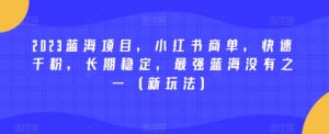 2023蓝海项目,小红书商单,快速千粉,长期稳定,最强蓝海没有之一(新玩法)-创客云联盟