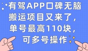 有驾APP口碑无脑搬运项目又来了,单号最高110块,可多号操作-创客云联盟