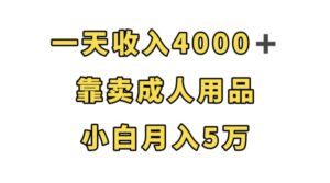 一天收入4000+，靠卖成人用品，小白轻松月入5万【揭秘】-创客云联盟