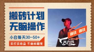 搬砖计划，小白无脑操作每天利润30-50+，完全无脑，不存在封号【揭秘】-创客云联盟